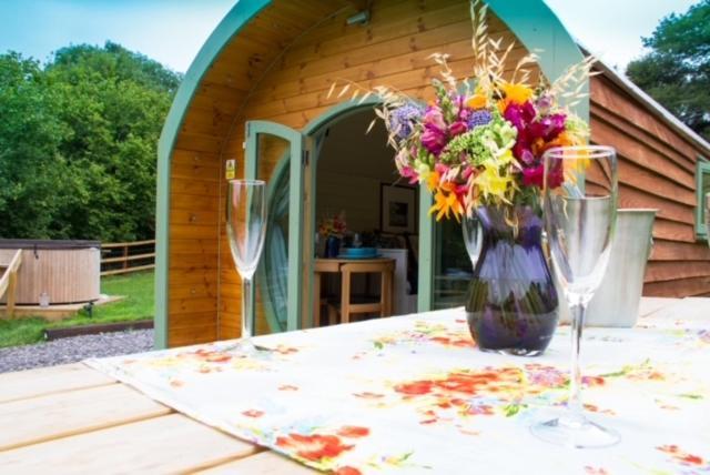 Hidden Wood Glamping And The Hideaway Cabin Вормінстер Екстер'єр фото